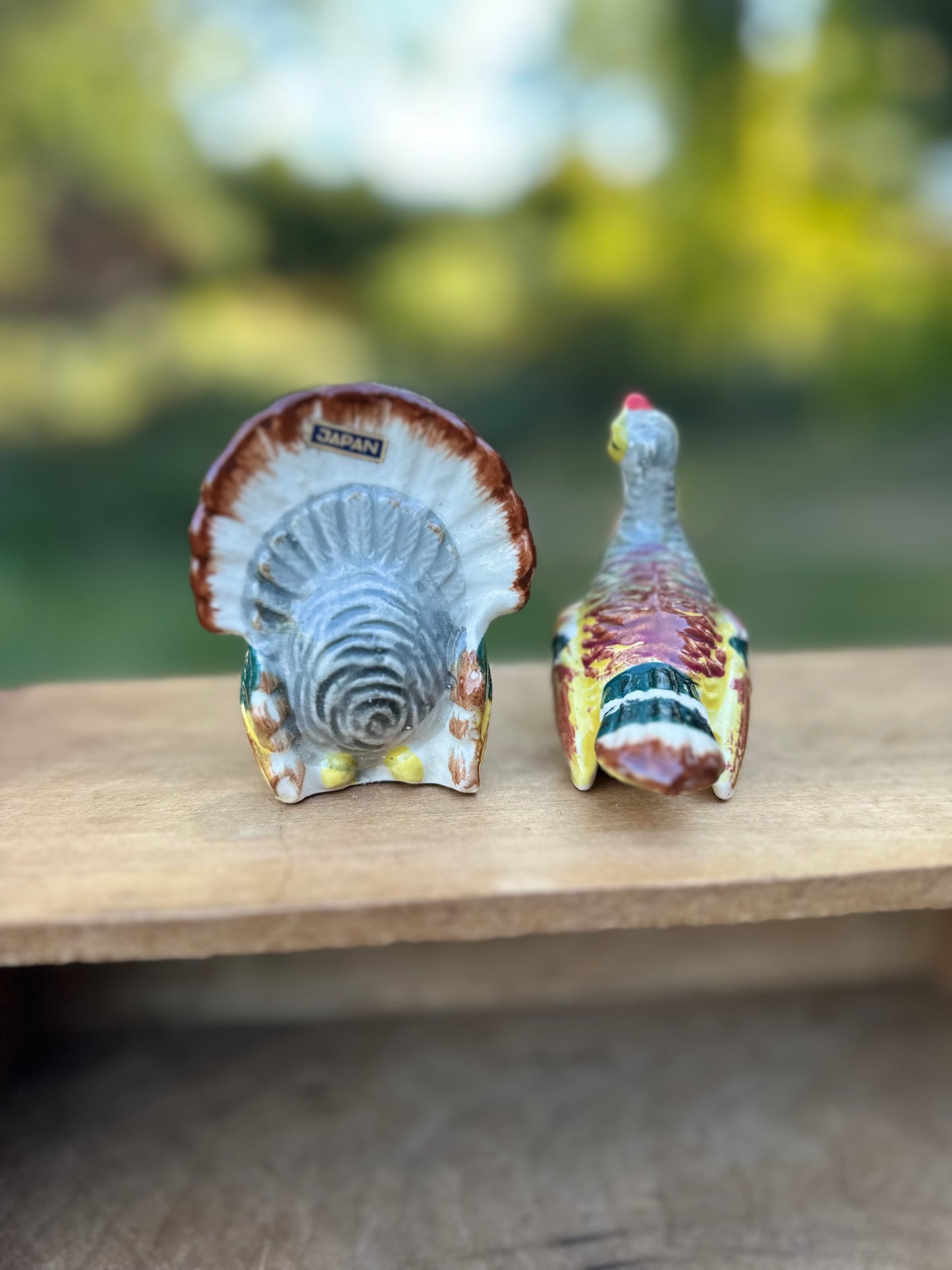 Vintage Turkey S&P Shakers (petite set)