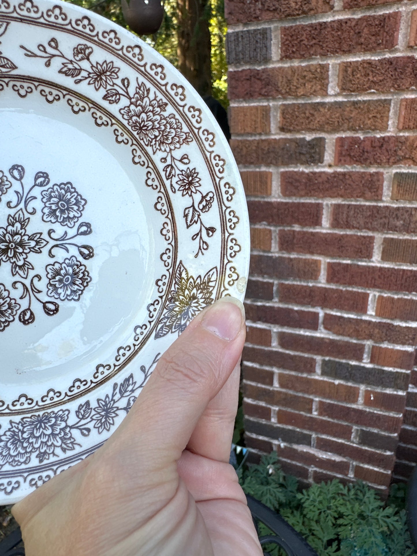Royal China Jeanette Sussex Bread Plates (4)