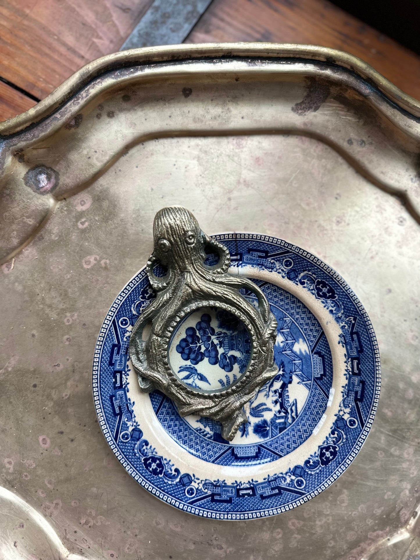 Bronze Octopus Magnifying Glass