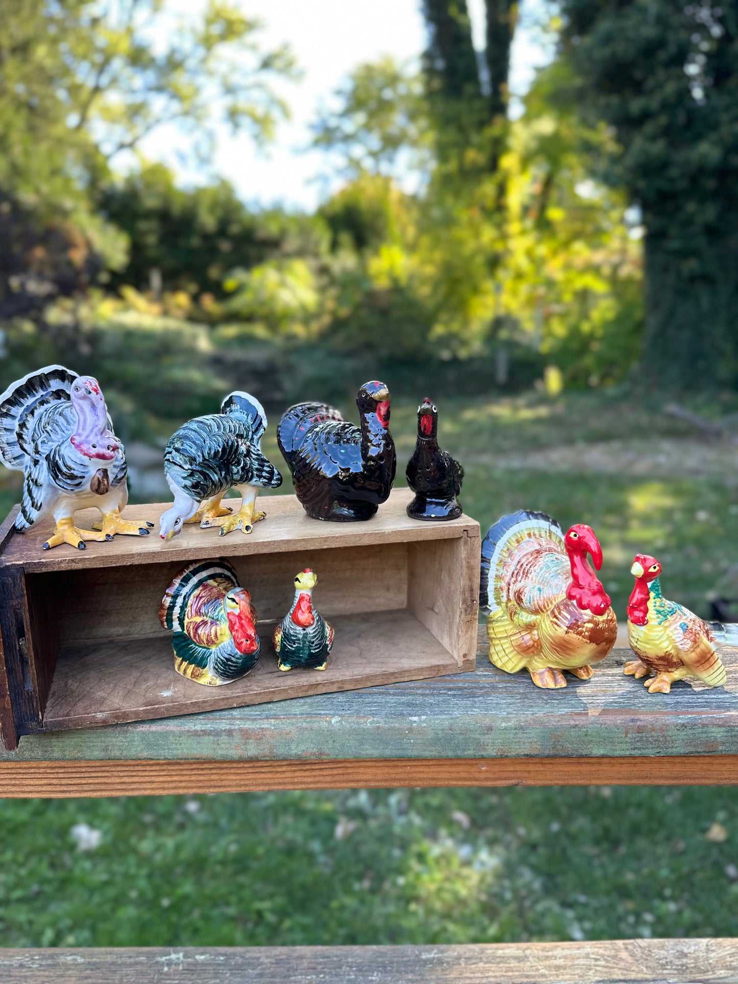 Vintage Turkey S&P Shakers