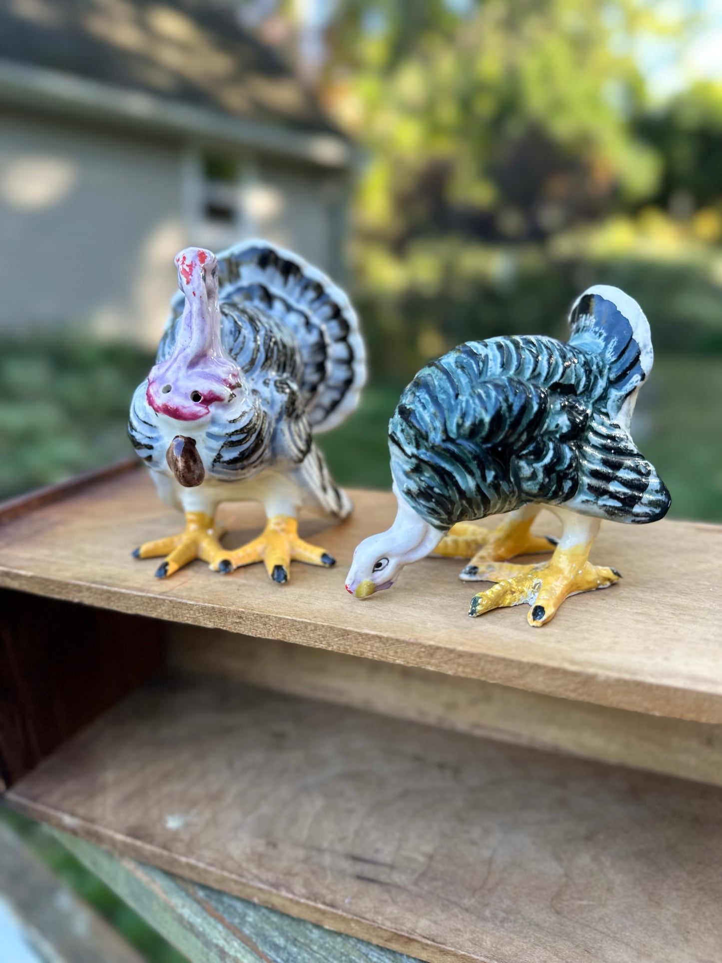 Vintage Turkey S&P Shakers