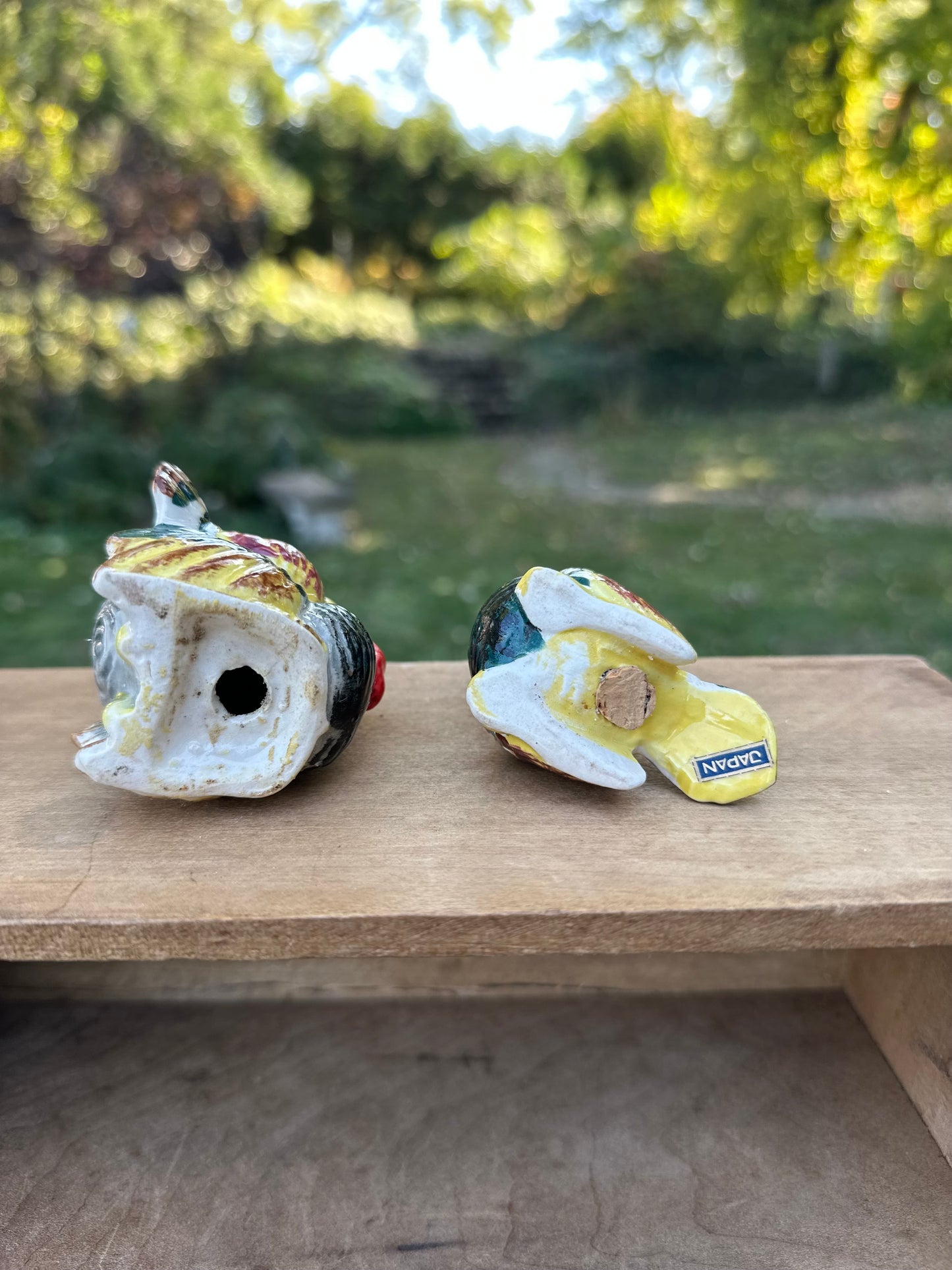 Vintage Turkey S&P Shakers (petite set)