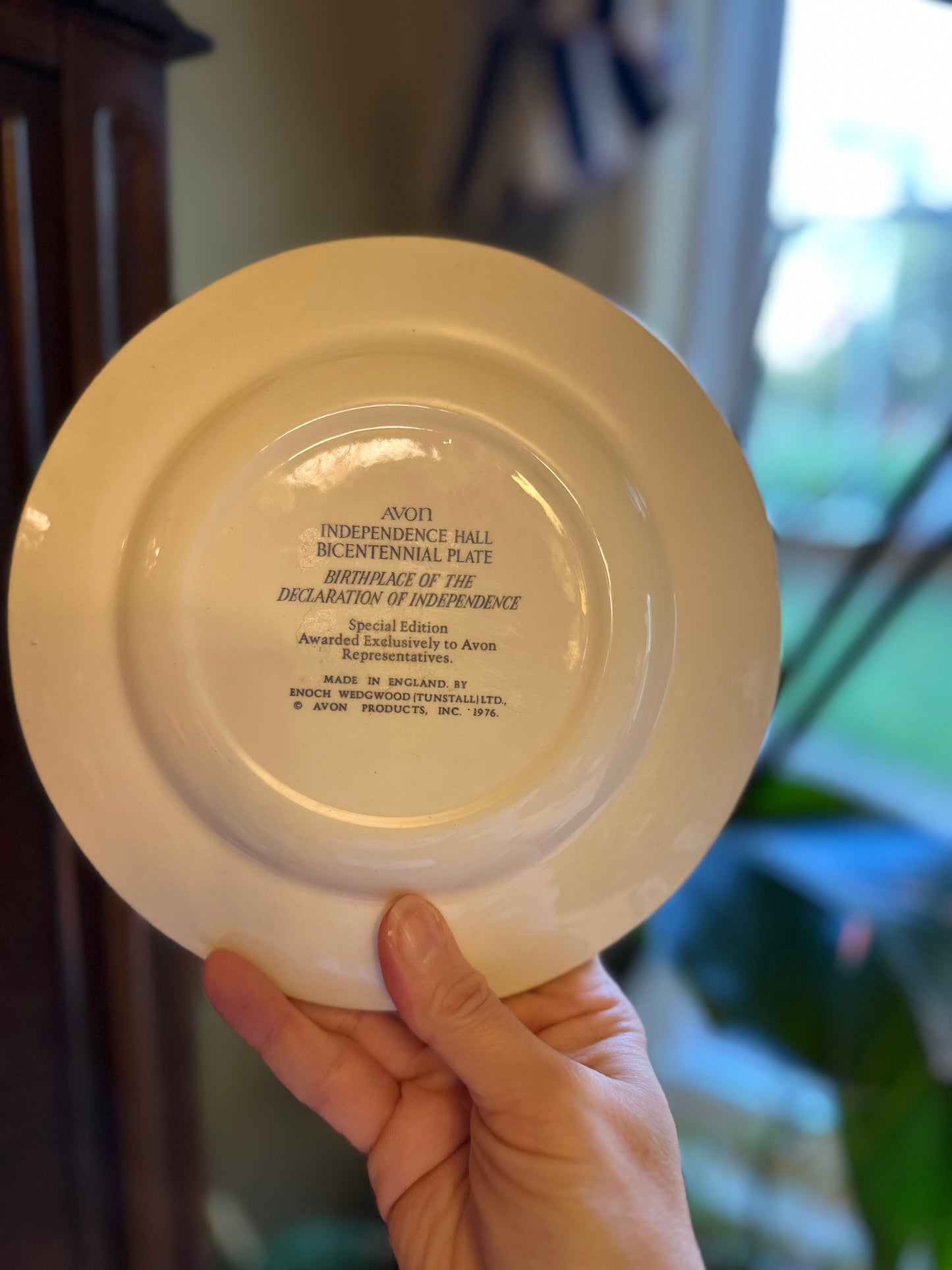 Vintage Wedgwood Commemorative Plates (set of 2)