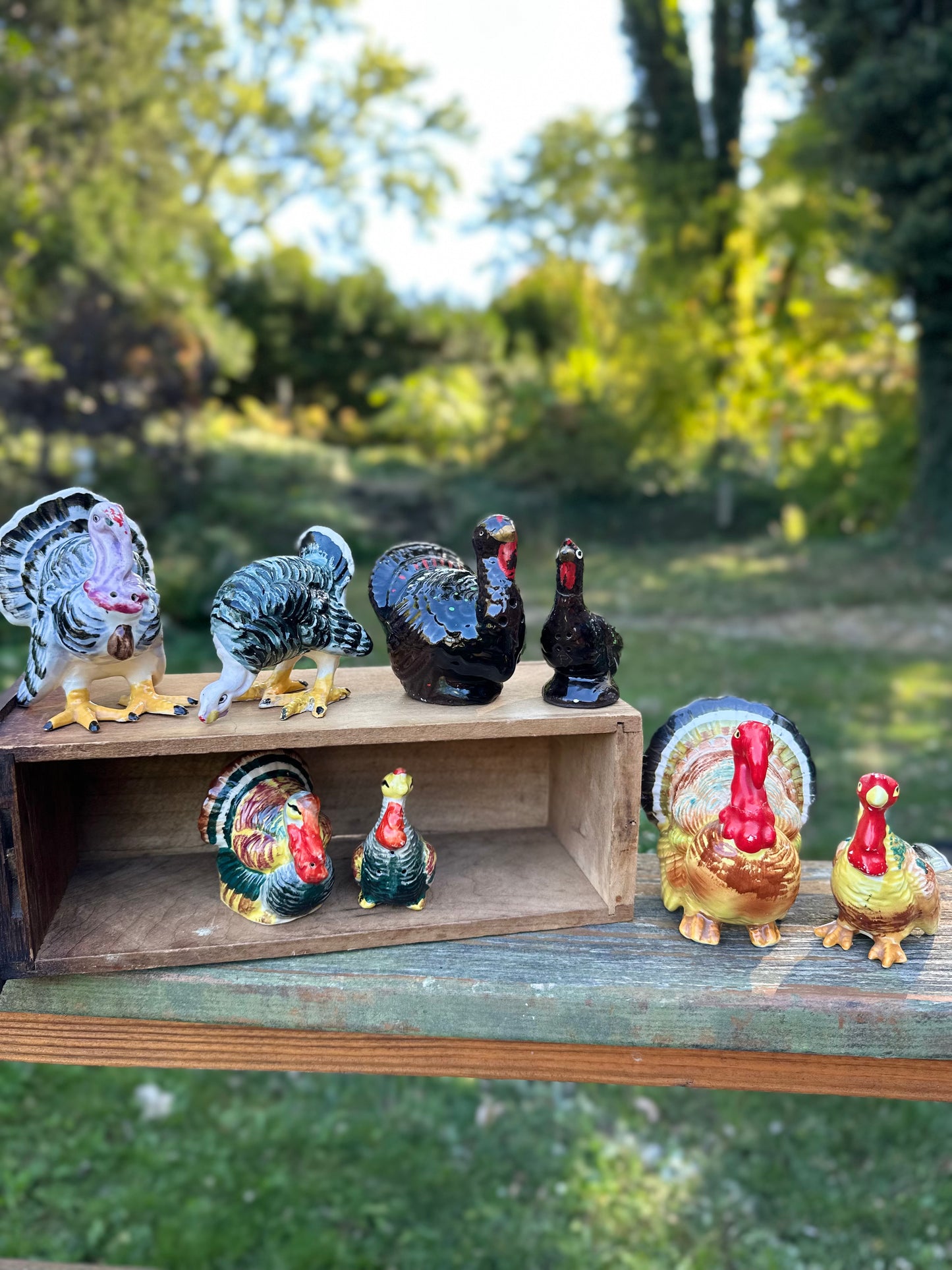 Vintage Turkey S&P Shakers (petite set)
