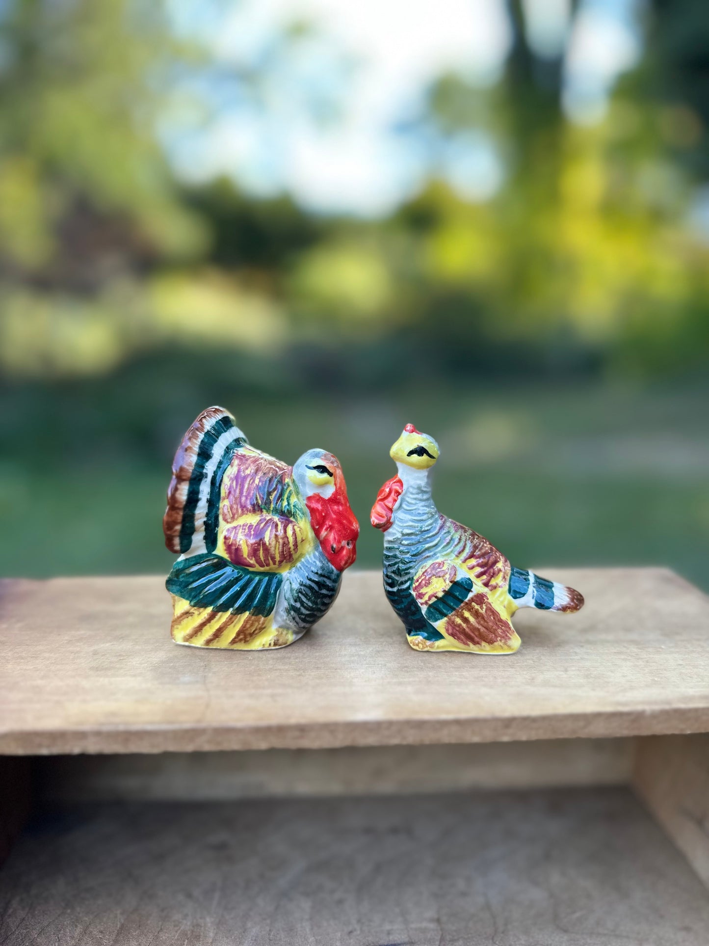 Vintage Turkey S&P Shakers (petite set)