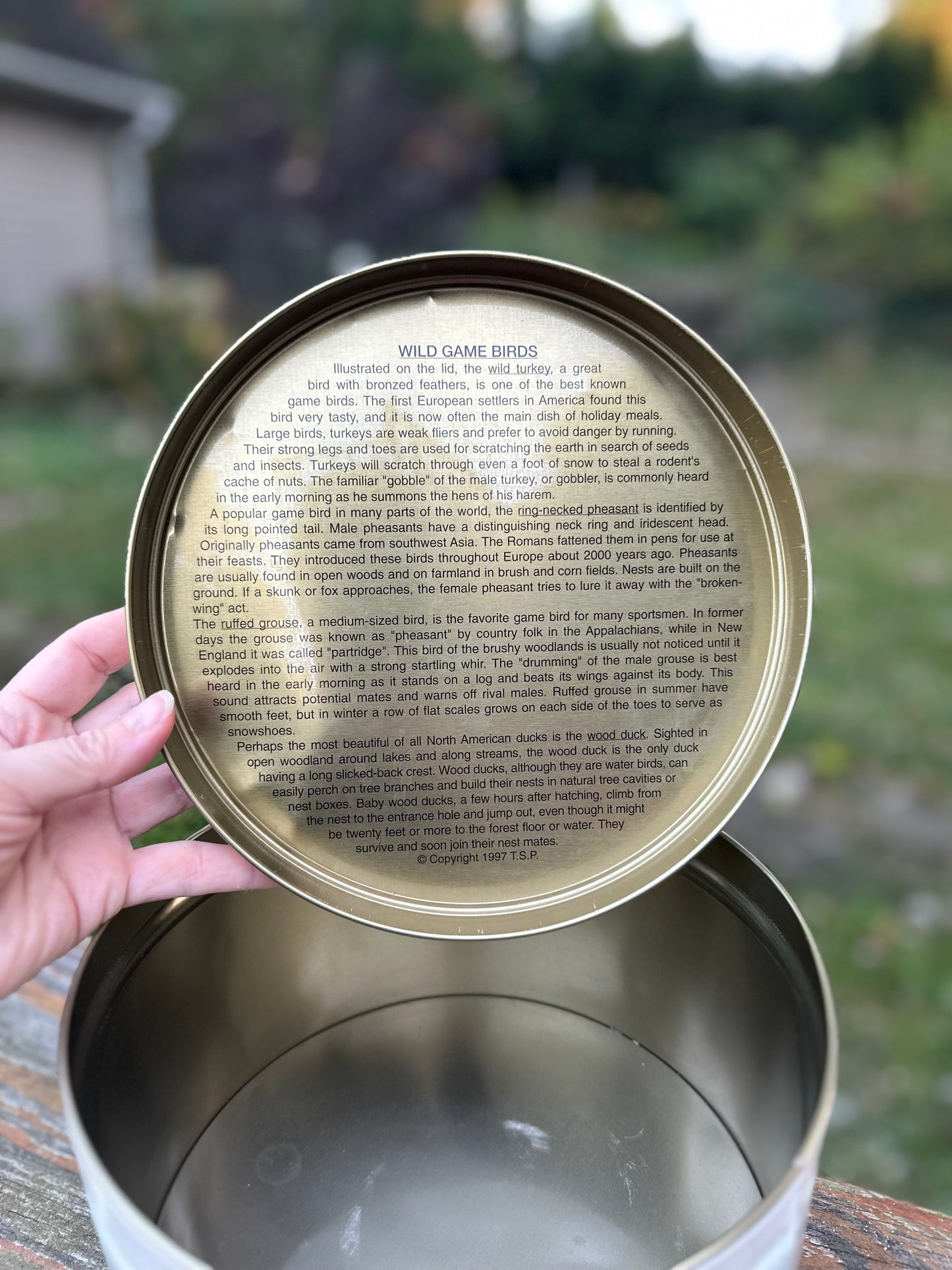 Vintage Pretzel Tin