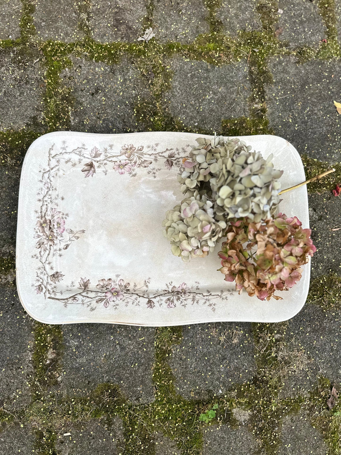 Antique Glasgow Pottery Ironstone Platter