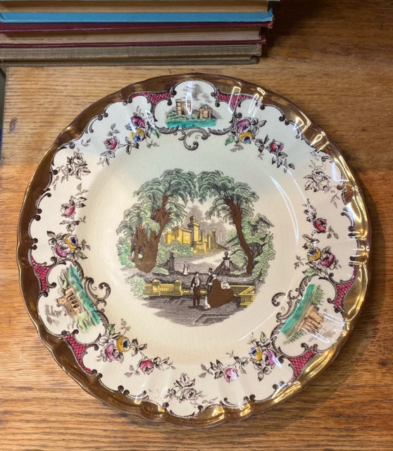 Vintage Mason's Ironstone Plate