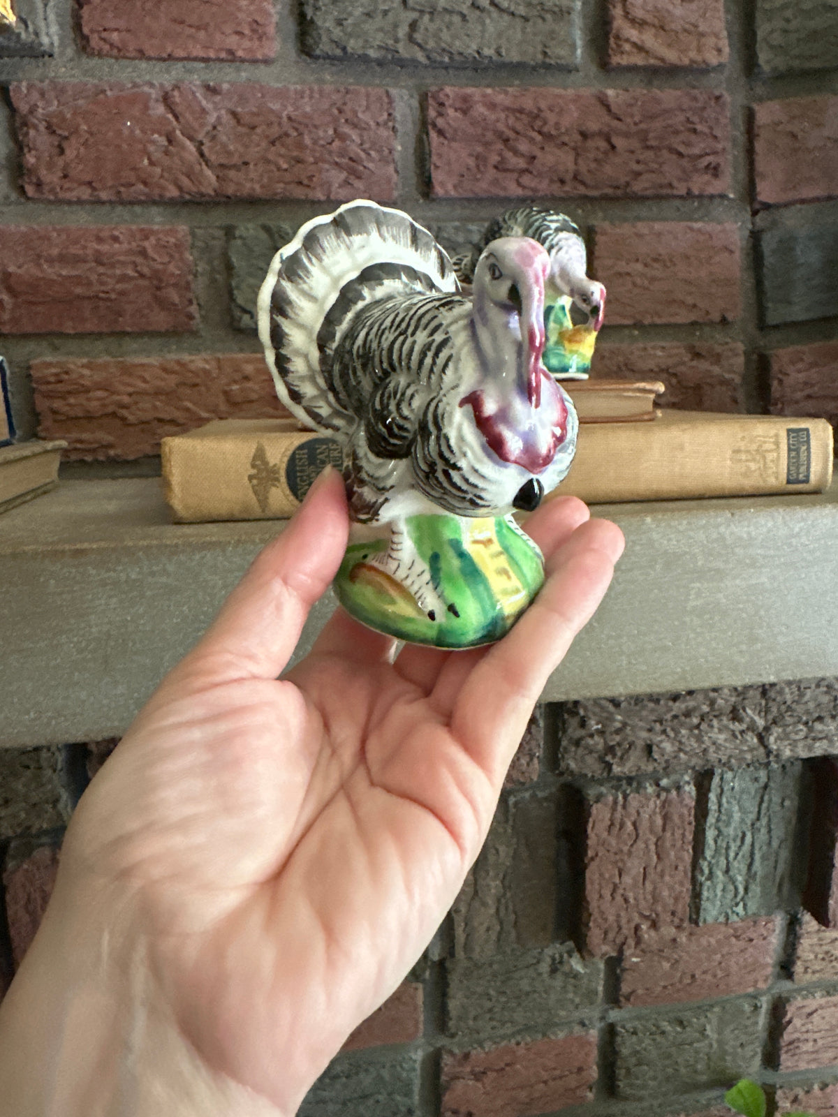 Vintage Turkey Salt & Pepper Shakers