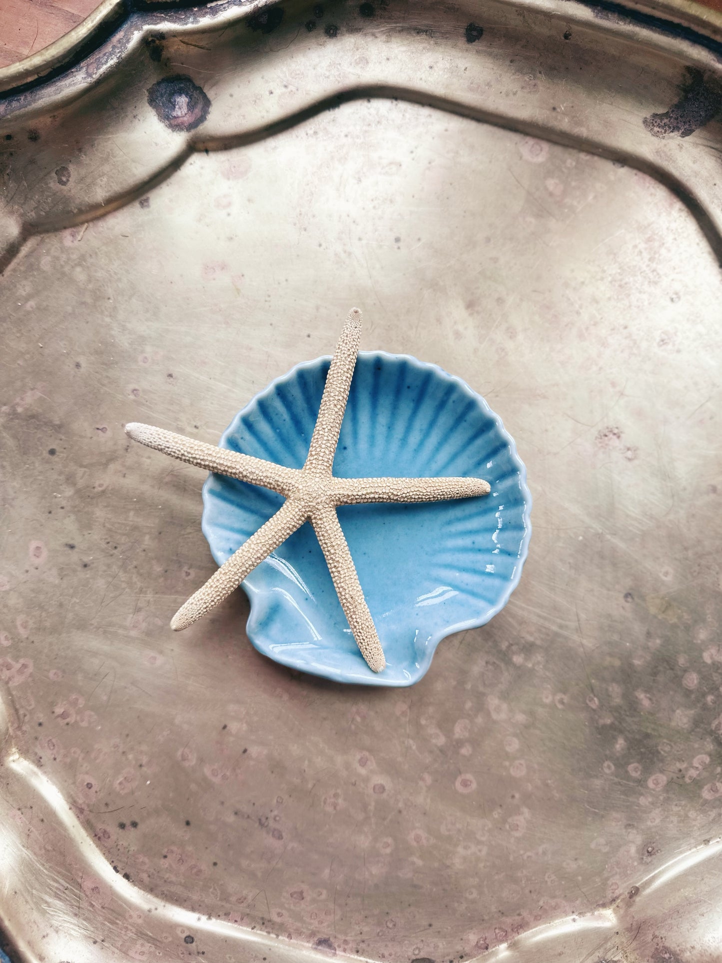 Vintage Ceramic Scallop Shell Trinket Dish and Starfish