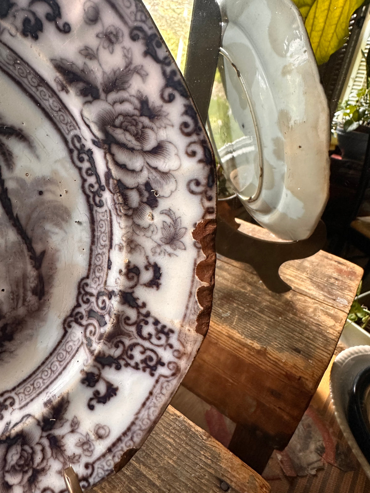 Antique 1840s Davenport Cyprus Ironstone Plate (9.25 inches)| Flow Black Transferware | Chinoiserie | Gothic Decor