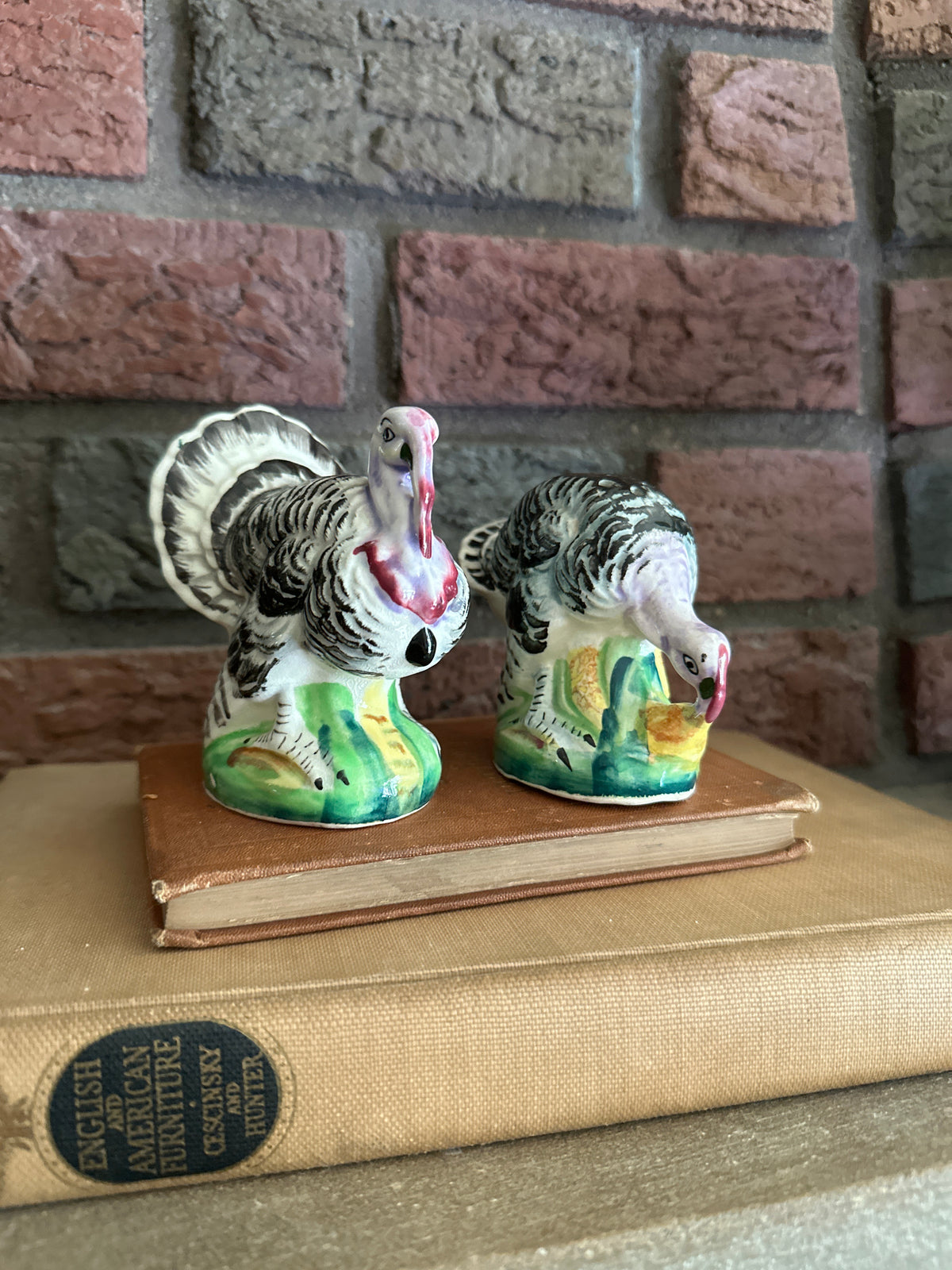 Vintage Turkey Salt & Pepper Shakers