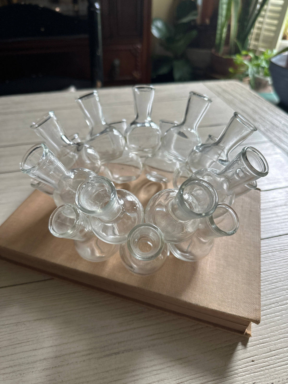 Vintage Glass Bubble Propagation Station | Bud bases