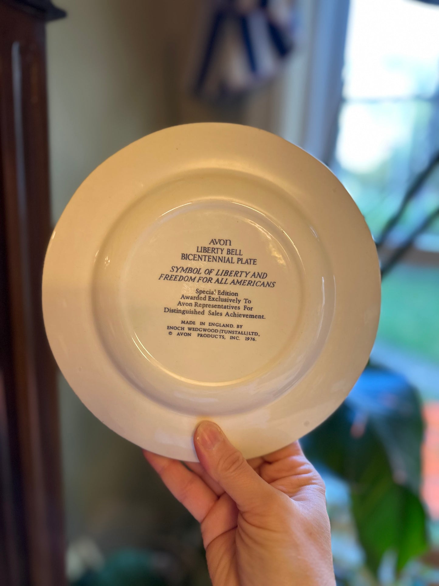 Vintage Wedgwood Commemorative Plates (set of 2)