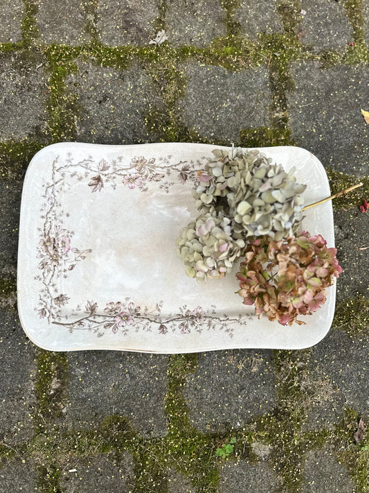 Antique Glasgow Pottery Ironstone Platter