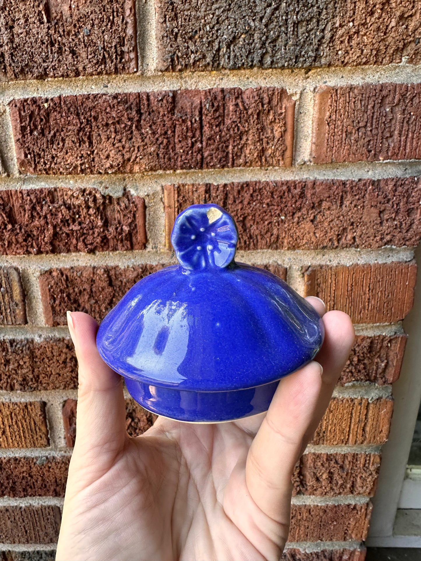Shawnee Rosette Tea Pot
