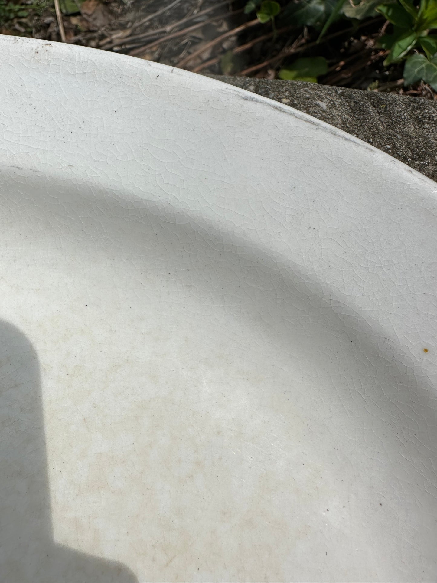 Antique Platter D.E. McNicol