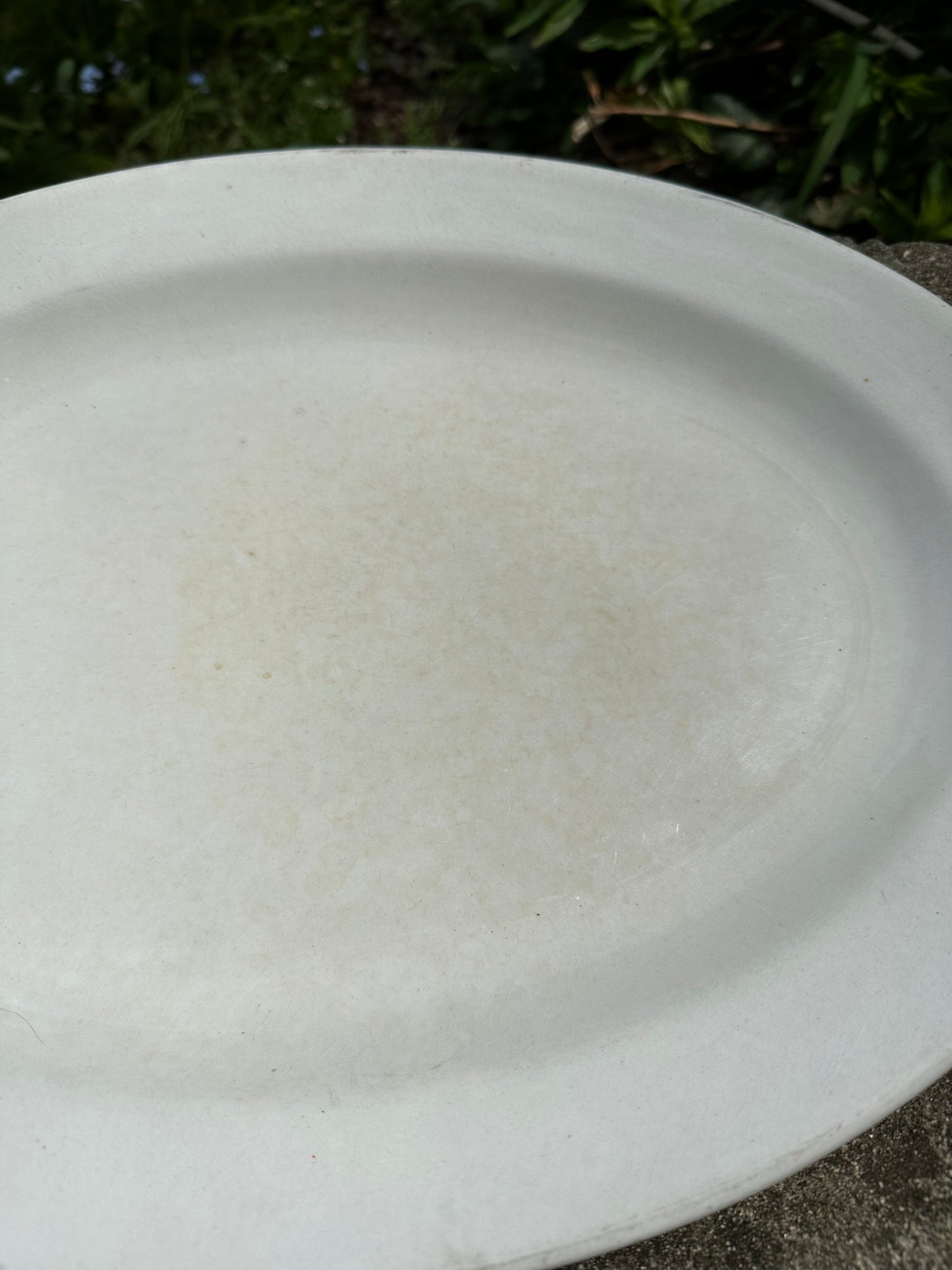 Antique Platter D.E. McNicol
